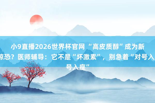 小9直播2026世界杯官网 “高皮质醇”成为新式惊恐？医师辅导：它不是“坏激素”，别急着“对号入座”
