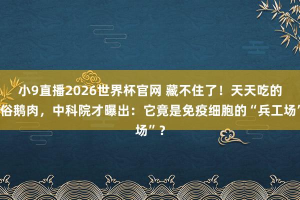 小9直播2026世界杯官网 藏不住了！天天吃的凡俗鹅肉，中科院才曝出：它竟是免疫细胞的“兵工场”？