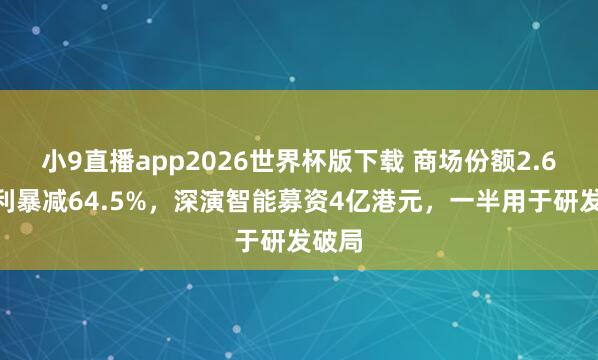 小9直播app2026世界杯版下载 商场份额2.6%净利暴减64.5%，深演智能募资4亿港元，一半用于研发破局