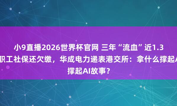 小9直播2026世界杯官网 三年“流血”近1.3亿元、职工社保还欠缴，华成电力递表港交所：拿什么撑起AI故事？