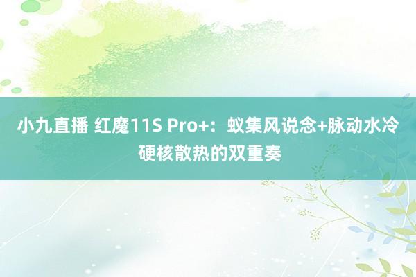 小九直播 红魔11S Pro+：蚁集风说念+脉动水冷 硬核散热的双重奏