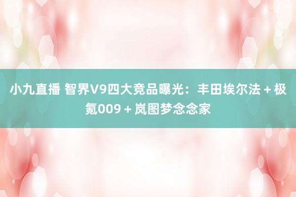 小九直播 智界V9四大竞品曝光：丰田埃尔法＋极氪009＋岚图梦念念家
