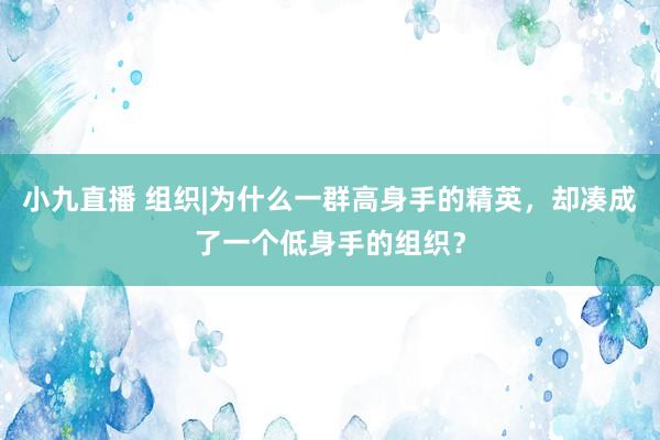 小九直播 组织|为什么一群高身手的精英，却凑成了一个低身手的组织？