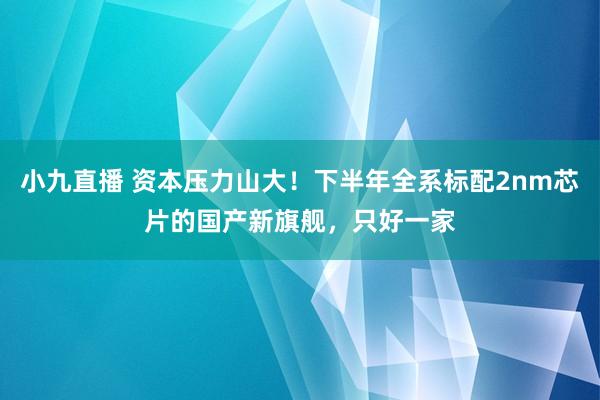 小九直播 资本压力山大！下半年全系标配2nm芯片的国产新旗舰，只好一家
