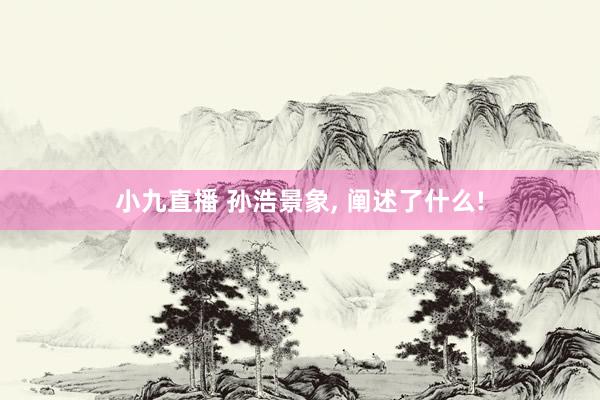 小九直播 孙浩景象， 阐述了什么!
