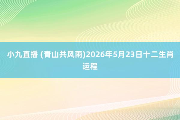 小九直播 (青山共风雨)2026年5月23日十二生肖运程