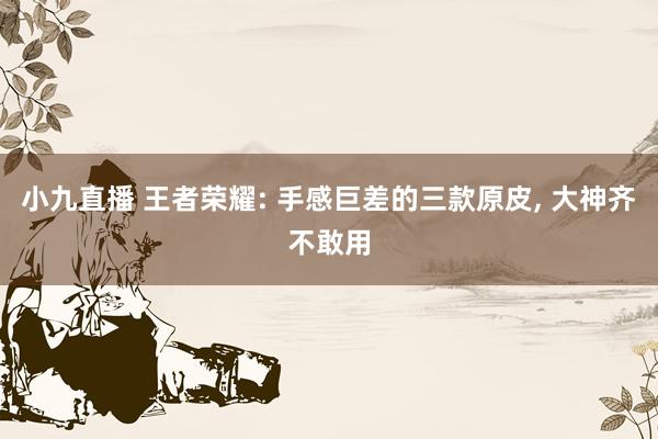 小九直播 王者荣耀: 手感巨差的三款原皮， 大神齐不敢用