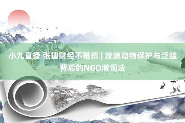 小九直播 张捷财经不雅察 | 流浪动物保护与泛滥背后的NGO潜司法