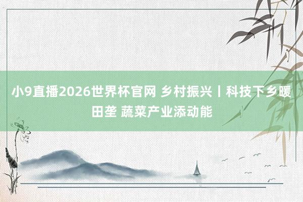 小9直播2026世界杯官网 乡村振兴丨科技下乡暖田垄 蔬菜产业添动能
