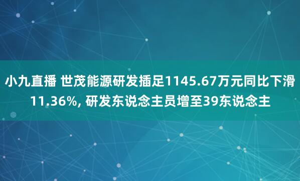 小九直播 世茂能源研发插足1145.67万元同比下滑11.36%， 研发东说念主员增至39东说念主