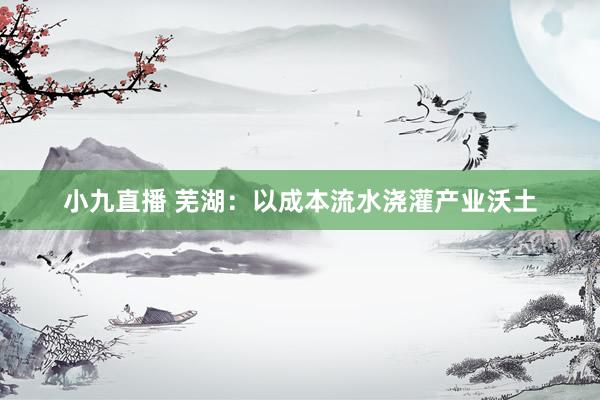 小九直播 芜湖：以成本流水浇灌产业沃土