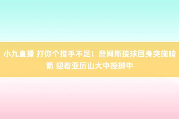 小九直播 打你个措手不足！詹姆斯接球回身突施暗箭 迎着亚历山大中投掷中