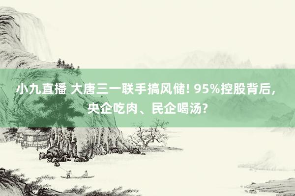 小九直播 大唐三一联手搞风储! 95%控股背后， 央企吃肉、民企喝汤?