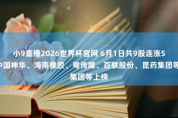 小9直播2026世界杯官网 6月1日共9股连涨5天， 中国神华、海南橡胶、粤传媒、百联股份、昆药集团等上榜