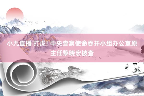 小九直播 打虎! 中央查察使命吞并小组办公室原主任黎晓宏被查