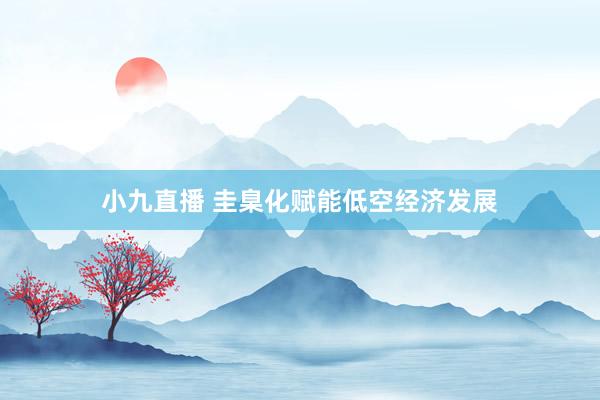 小九直播 圭臬化赋能低空经济发展