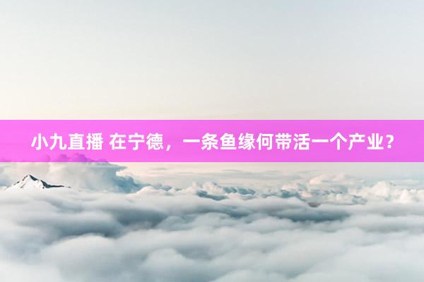 小九直播 在宁德，一条鱼缘何带活一个产业？