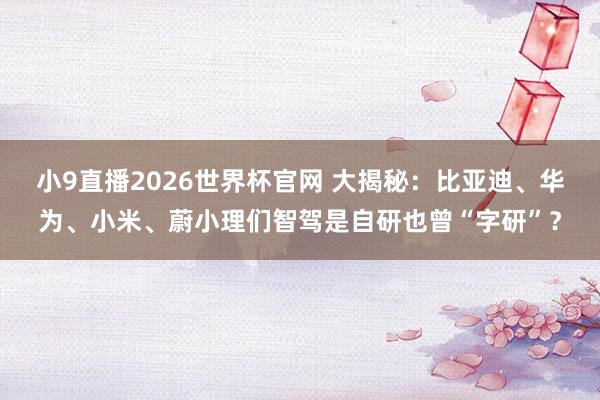 小9直播2026世界杯官网 大揭秘：比亚迪、华为、小米、蔚小理们智驾是自研也曾“字研”？