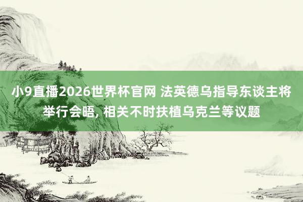 小9直播2026世界杯官网 法英德乌指导东谈主将举行会晤， 相关不时扶植乌克兰等议题