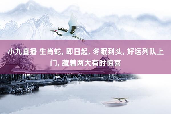 小九直播 生肖蛇, 即日起, 冬眠到头, 好运列队上门, 藏着两大有时惊喜