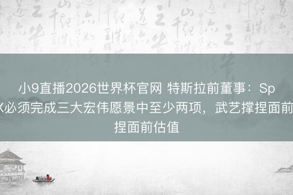 小9直播2026世界杯官网 特斯拉前董事：SpaceX必须完成三大宏伟愿景中至少两项，武艺撑捏面前估值