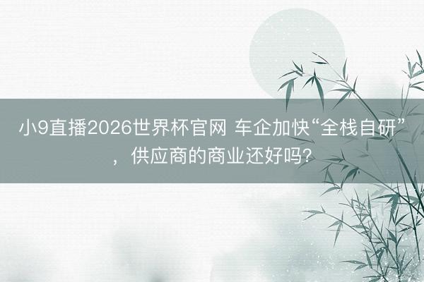 小9直播2026世界杯官网 车企加快“全栈自研”，供应商的商业还好吗？