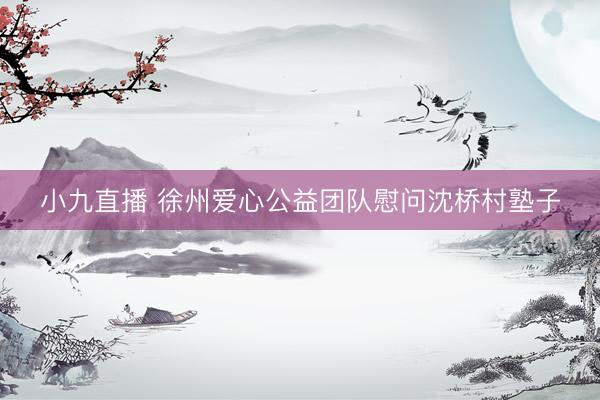 小九直播 徐州爱心公益团队慰问沈桥村塾子