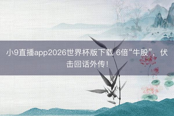 小9直播app2026世界杯版下载 6倍“牛股”，伏击回话外传！