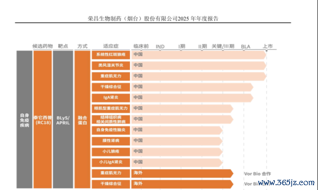 图源：公司官网