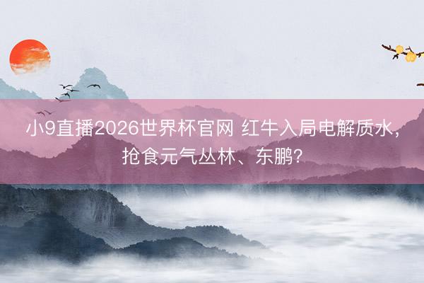 小9直播2026世界杯官网 红牛入局电解质水，抢食元气丛林、东鹏？