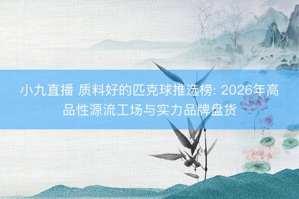 小九直播 质料好的匹克球推选榜: 2026年高品性源流工场与实力品牌盘货